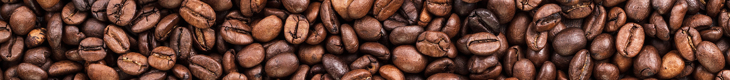 coffee bean closeup banner
