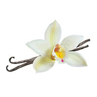 vanilla flower icon